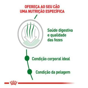 Ração Royal Canin Mini Indoor Adult Cães Adultos 1kg - Image 3