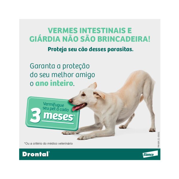 Drontal para Cães de 35kg Sabor Carne- 2 comprimidos - Image 6