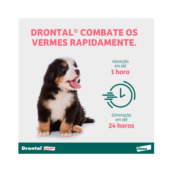 Vermífugo Drontal Puppy para Cães - Image 4