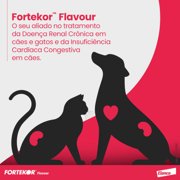 Fortekor Insuficiência Cardíaca e Renal 5 mg - Image 7