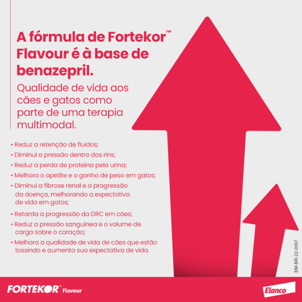 Fortekor Insuficiência Cardíaca e Renal 5 mg - Image 6