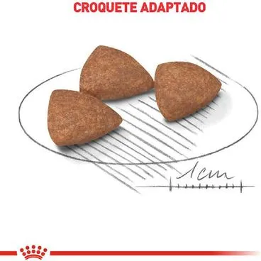 Ração Royal Canin Mini Indoor Adult Cães Adultos 1kg - Image 2